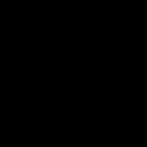 Meet your Posher, Ava